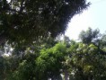/album/fotogaleria/img-20140606-141711-jpg/